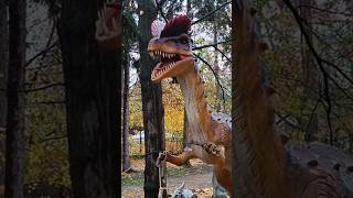 DINOPARK🦏Милейший динозаврик который окатит вас прохладной водичкой🤪#динопарк #динозавры #dinopark