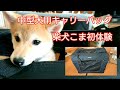 中型犬用キャリーバックお試し【柴犬こま】