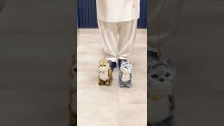 Cute Mini Walking Cat With Remote #remotecontrol #kidsfun #minicat #walkingcat #toycompanypk