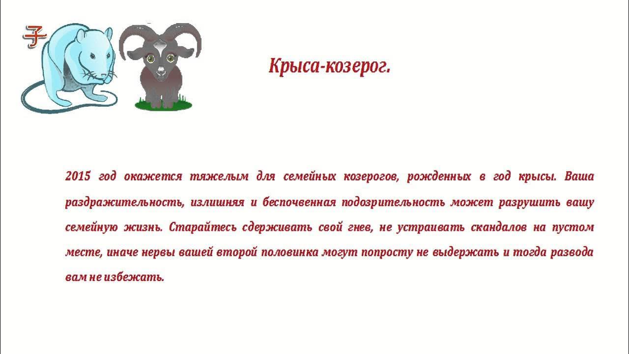 Совместимость крысы козерога. Крыса Козерог. Козерог характер. Знак зодиака Козерог описание. Козерог в год крысы.