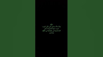الاية رقم (186) من سورة البقرة بصوت الشيخ ياسر الدوسري - Yasser El Dosary