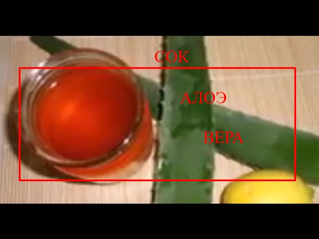 #aloeveragel #gotovim# АЛОЭ ВЕРА ..КАК СДЕЛАТЬ СОК В ДОМАШНИХ УСЛОВИЯХ