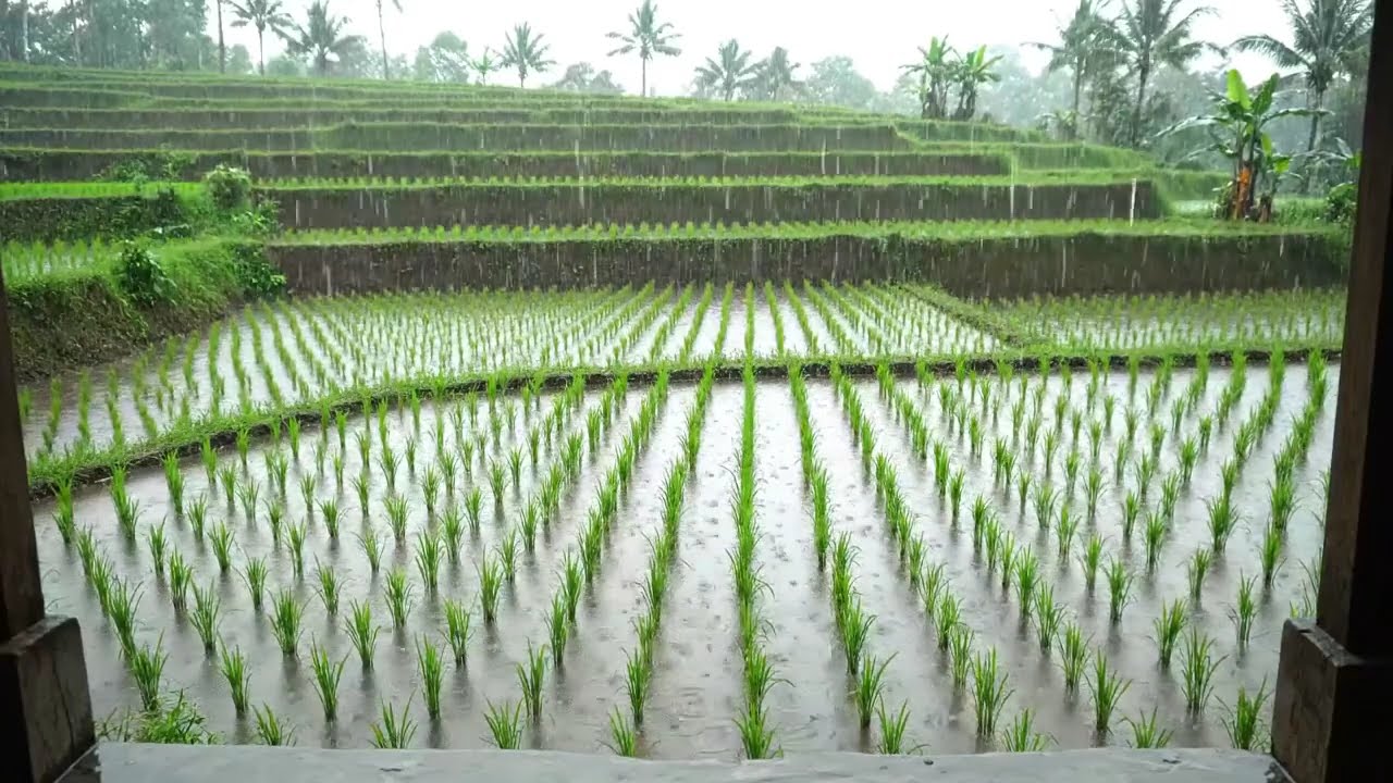 Delima - Tasya Rosmala Full Album Terbaru || Om Adella Full Album Terbaru 2026