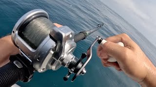 Surface Irons & Sand Bass! + Tackle Update!