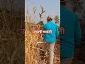 शेतकरी#शेती#shetkari #farming#shorts#farmer #marathi#dialogue#yt #shortviral#vairal#video