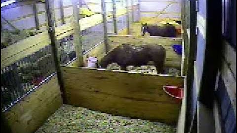 Barn Camera - Lens Size