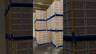 Famous Cold chain logistics cold storage stacking rack, metal folding rack, storage shelf Net Worth
