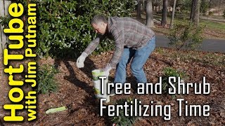 Tree and Shrub Fertilizing Time