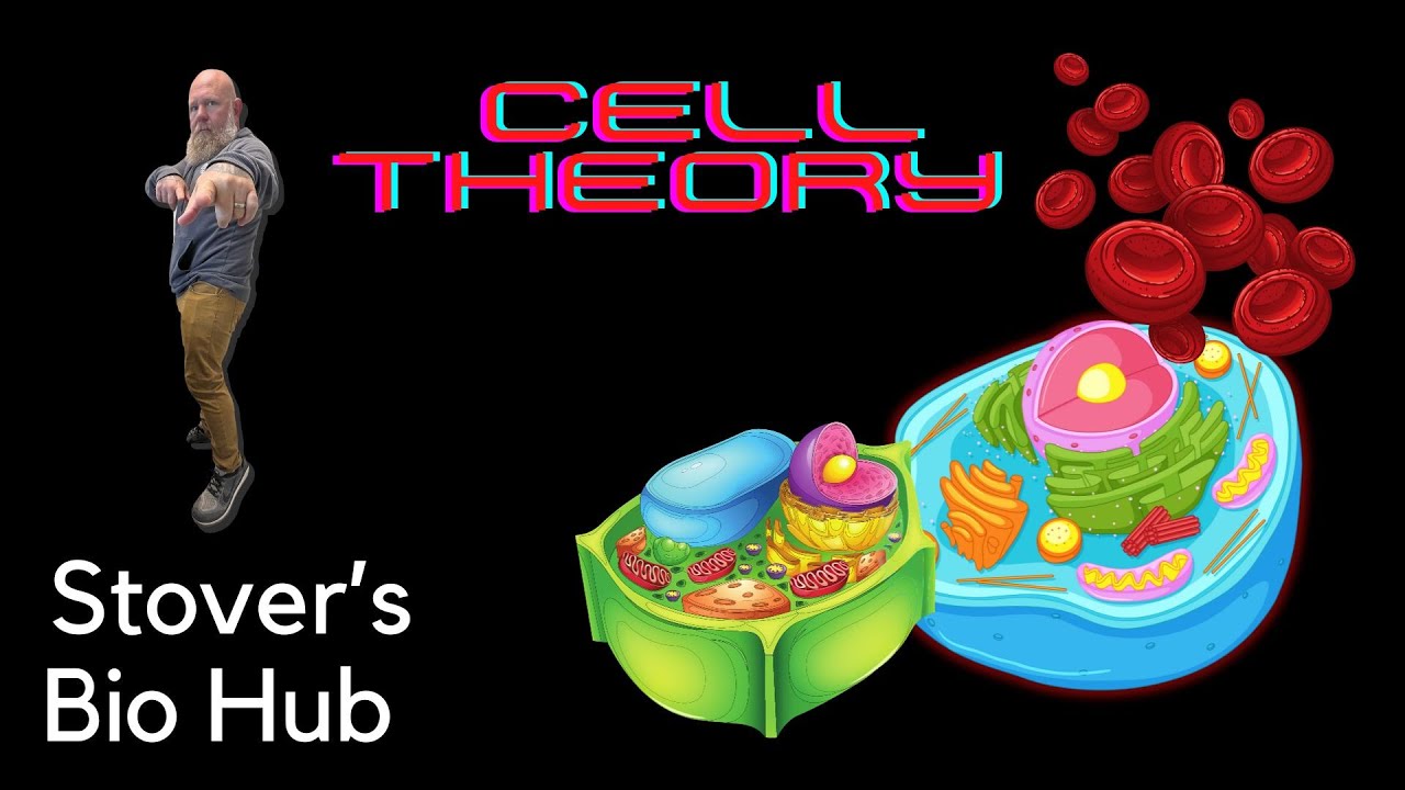 Cell Theory Youtube YouTube