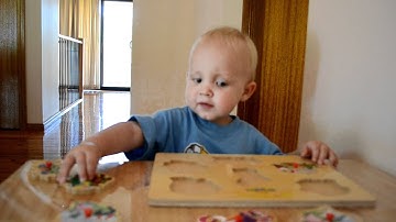 Anecdotal Record - Levi 18 months completing a puzzle