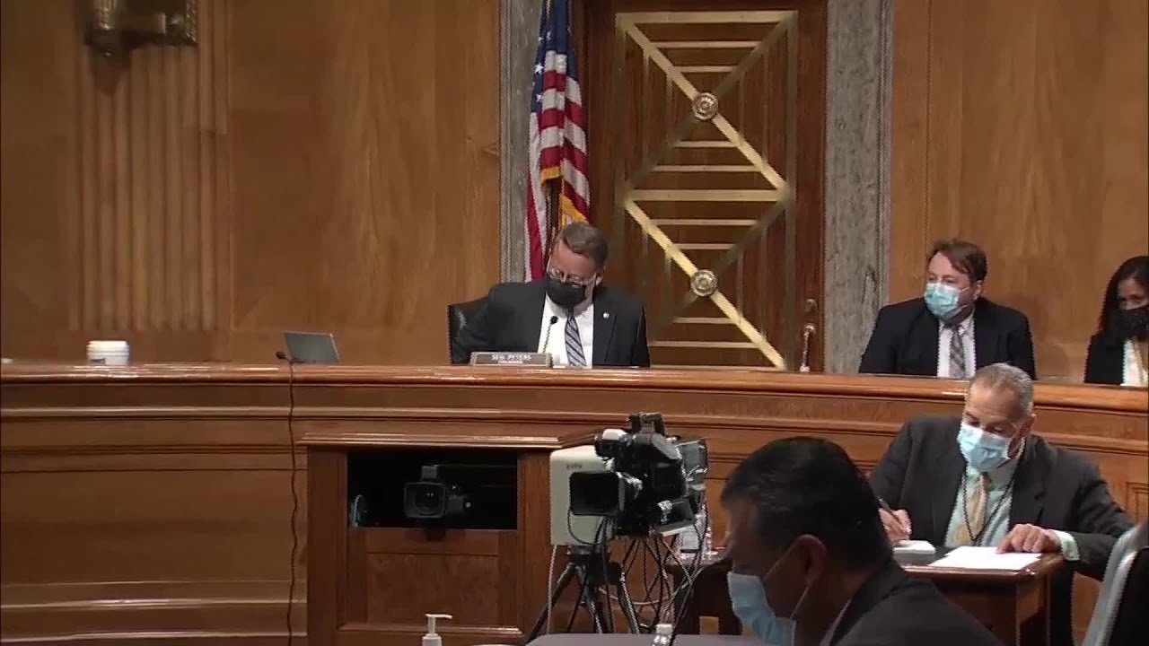 Experts urge Congress to focus on domestic terrorism fight