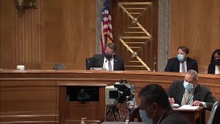 Experts urge Congress to focus on domestic terrorism fight