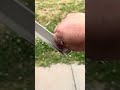 Install Flashing Metal Roofing #install #flashing #metal #roofing #tips