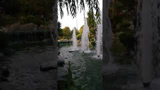 عالمي الخاص | شوفوا جمال النوافير ونقاء المياه في حديقة رجب طيب أردغان ??