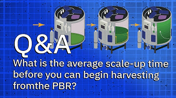 What Is The Average Scale-up Time Before You Can Begin Harvesting From The PBR - Q&A with an expert