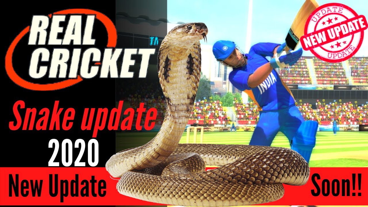Real Cricket 20 New Update II RC 20 Mega update IISnake update in Real Cricket 2020