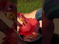 Mau omelet untuk sarapan? 🥚🍳#mashaandthebear #MashadanBeruang #Shorts #KejutanKejutan  #kartun