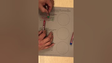 Oil Pastel and Color Scheme exercise PT07:  Scribble-Split-Complimentary VALUE SCALE