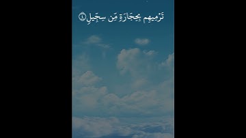 سورة الفيل بصوت الشيخ فارس عباد #سورة_الفيل    #الشيخ_فارس_عباد