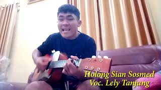 HOLONG SIAN SOSMED cover SWANDI HALOMOAN