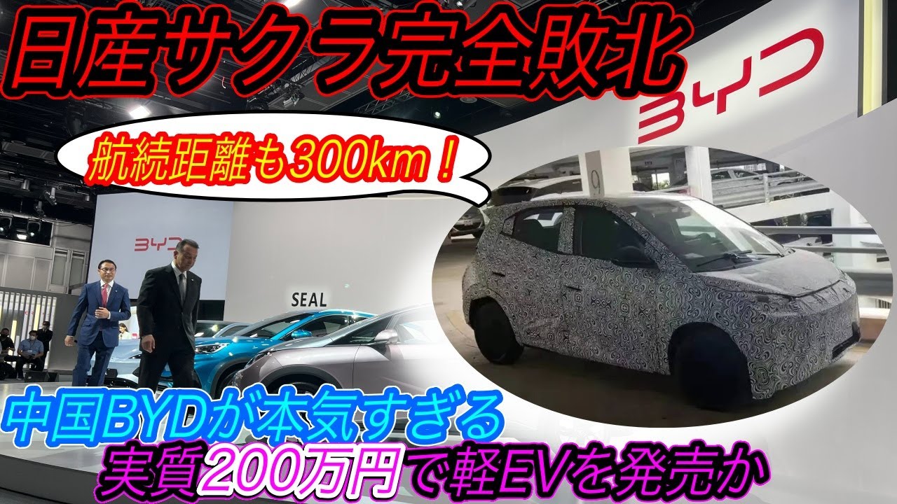 Is a Chinese-made mini EV the game changer?] The real black ship