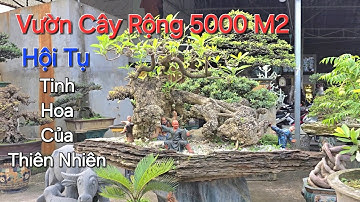 CHOÁNG NGỢP không gian vườn cây RỘNG KHOẢNG 5000 M2 toàn những CÂY ĐỘC ĐÁO của Bin Nguyễn.
