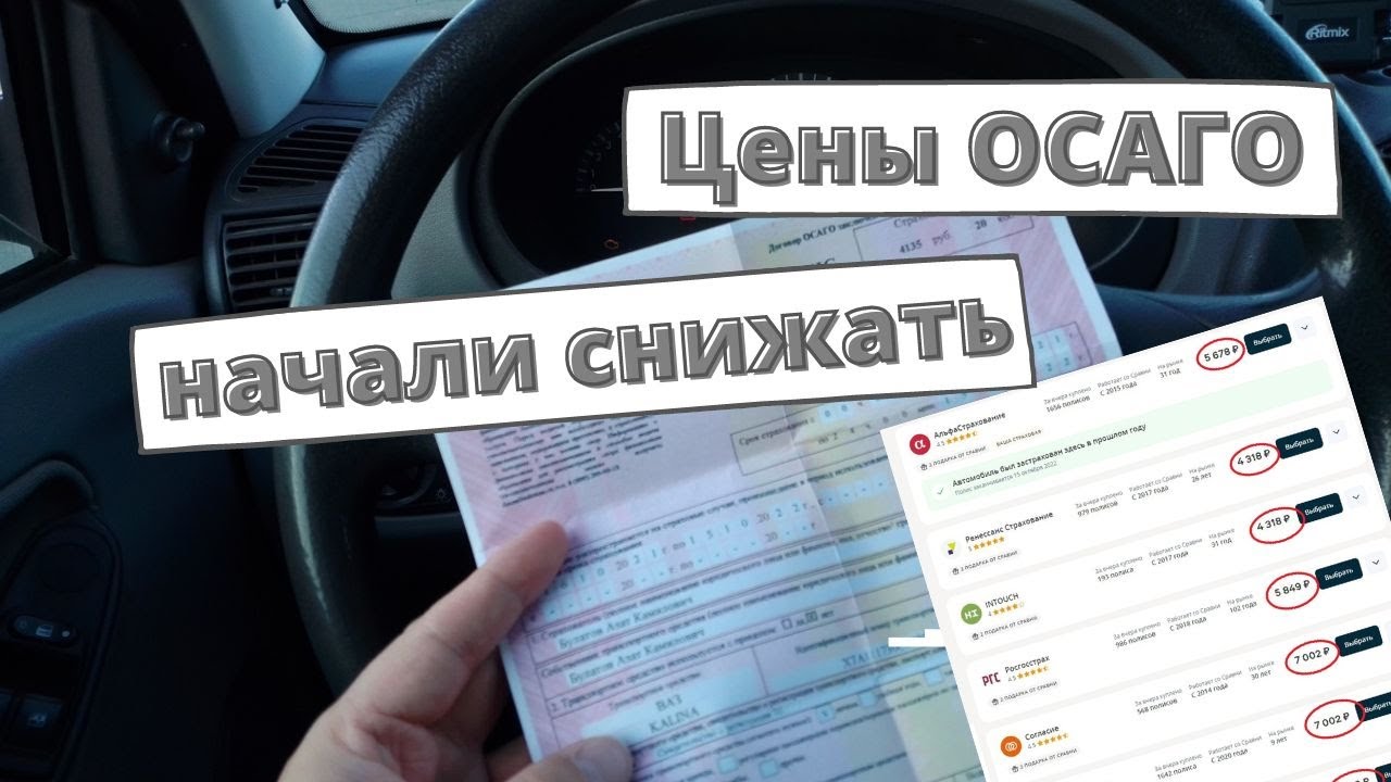 Альфастрахование осаго вписать водителя