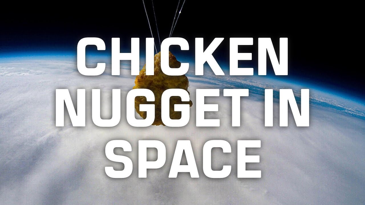 Chicken Nugget in Space Space launch to celebrate Iceland's 50th