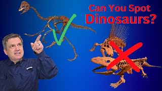 How to Spot a Dinosaur Skeleton Fast