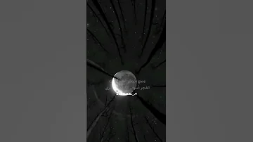 ترجمة أغنية مويه مويه عطني لايك واشتراك لاني قعدت ادور ثلاث سنوات ترليون سنة الترجمة 