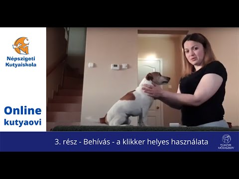 Videó: Hogyan törődjünk egy pomerániai kutyával (képekkel)