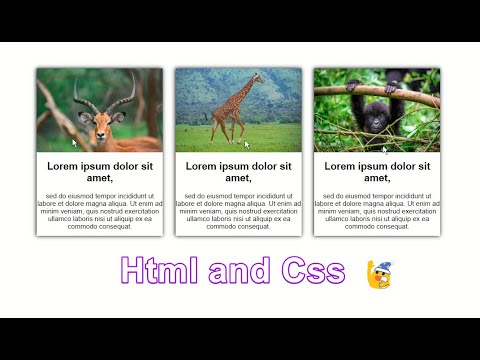 text box html  2022 Update  How to Create Post Cards  Using HTML and CSS | box Contents text with image