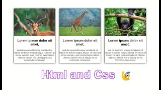 How to Create Post Cards Using HTML and CSS | box Contents text with image