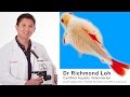 Dr Loh explains the causes of dropsy and does a full examination of a bloated Goldfish