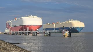 Der Car Carrier "Amthyst Ace" auslaufend Emden.