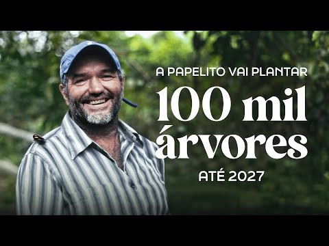 O que a Papelito foi fazer na Amazônia?