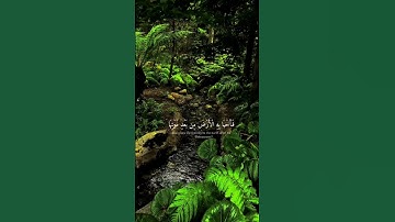 القارئ إسلام صبحي اكتب شيء تؤجر عليه ❤️