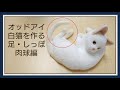 【羊毛フェルト】オッドアイ 猫 足・しっぽ 作り方 How To Make Needlefelting Odd-eyes Cat Doll