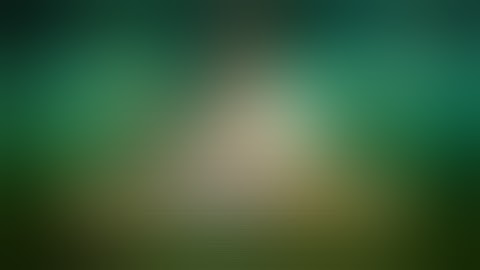 Ancient Coins Official Video