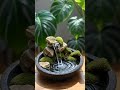 Study Music with Nature Sounds: Relaxing Piano and Mini Waterfall for Concentration #relaxingpiano