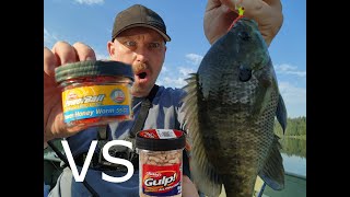 Power Honey Worms VS, GULP  Maggots Which IS Better for BLUEGILL and CRAPPIE