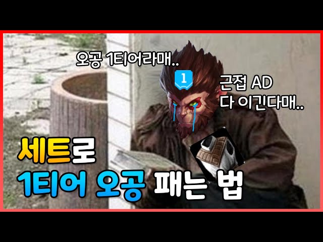 세트로 오공 상대하는 법(Feat.잡기술)