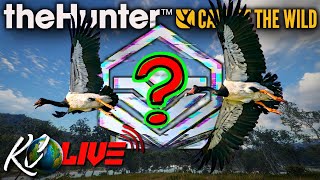 🔴LIVE - 🪿WE NEED A DIAMOND OR RARE MAGPIE GOOSE!!💎 Call of the Wild