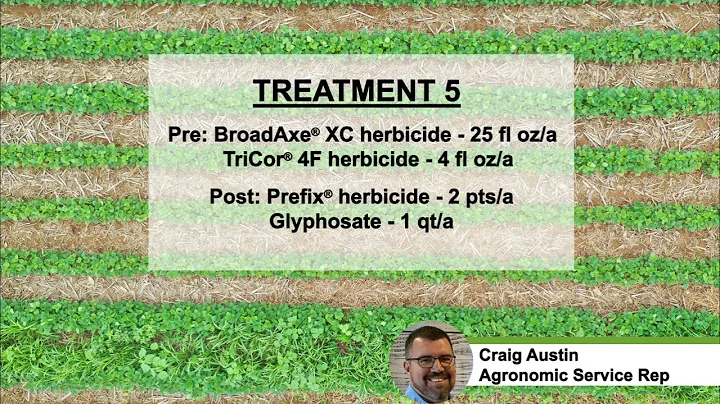 Manage Tough to Control Weeds with a Robust Soybean Herbicide Program