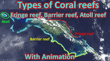 Types of coral reefs: Fringe reef, Barrier reef, Atoll reef | UPSC (CSE)