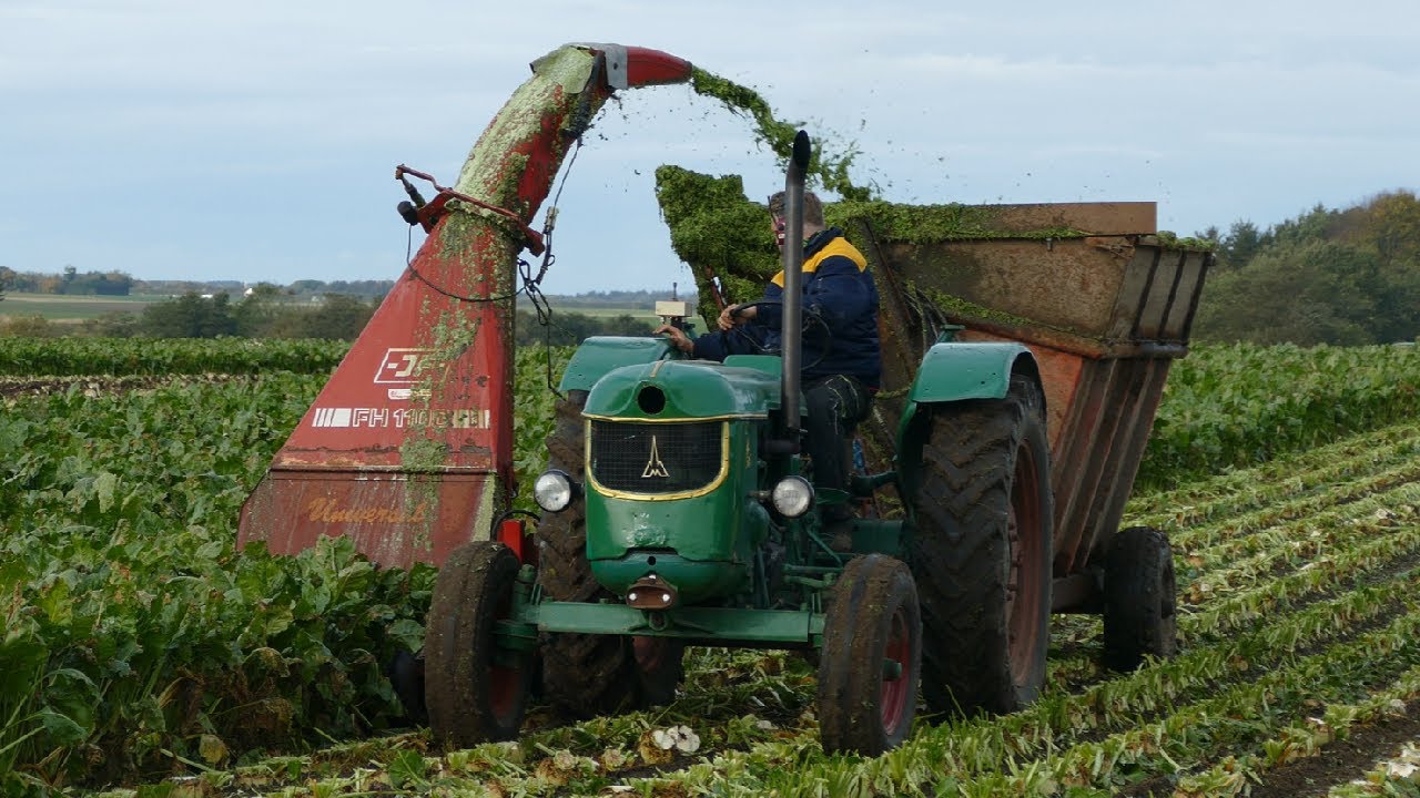 Vintage Sugarbeet Harvest 2025