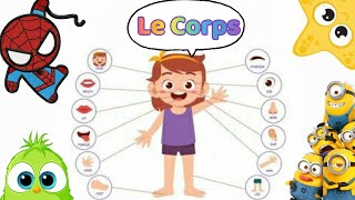 تعلم اجزاء جسم الانسان باللغه الفرنسية للاطفال .. Human body parts in France .. les parties du corps