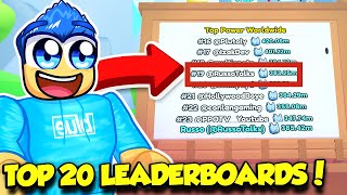 I GOT TOP 20 ON THE LEADERBOARDS IN PET SIMULATOR 99!!