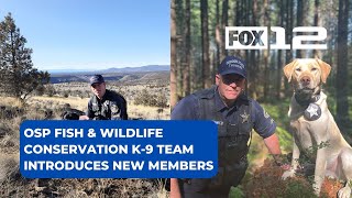 OSP Fish & Wildlife Conservation K-9 team introduces new members