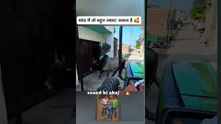 video call Nishu 😭 26 please #automobile #ekmotahathighumechala